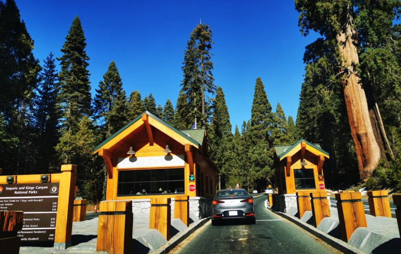 Kings Canyon National Park California